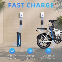 Windhorse W2A Folding Electric Bike 16in 630W 25MPH 35Mi 36V 8Ah
