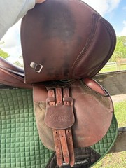 Bates Elevation 16.5” Saddle With CAIR and Easy Change Gullet System