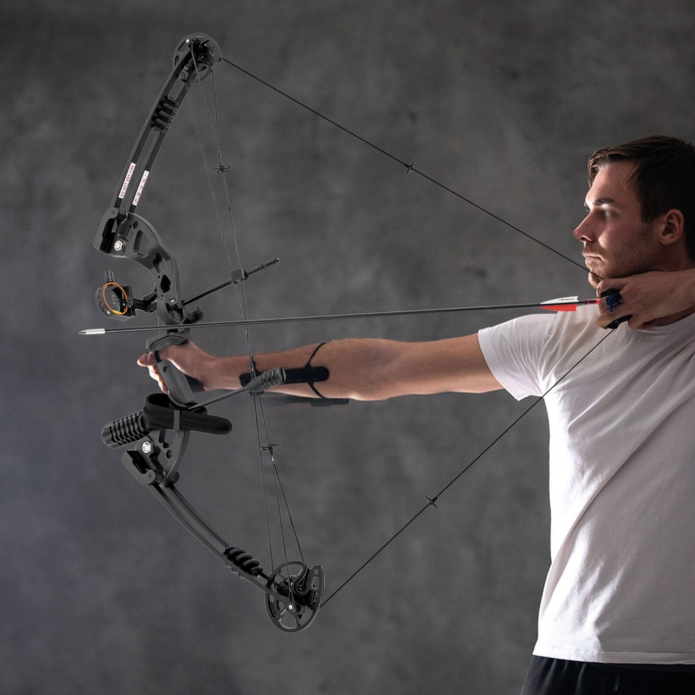 Compound Bow Recurve Bow w/ 12x Arrows Set Right Hand for Adult Hunting Training