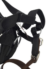 Small Horse Grazing Muzzle Nylon Rubber Neoprene Diet Founder Prevention