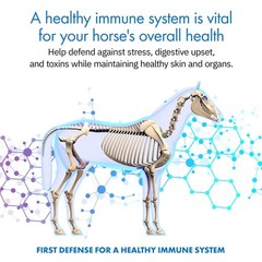 Equa Holistics HealthyGut™ Probiotics for Horses Maintenance 30 Days, Horse
