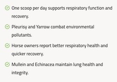 Silver Lining Herbs – Respiratory – 60 Serving Bag – Allergy & Lung Supplement