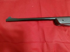 daisy bb gun rifle