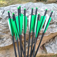 USA Hunting 20 Inch Crossbow Bolts Mix Carbon Crossbow Arrows Archery OD 8.8mm