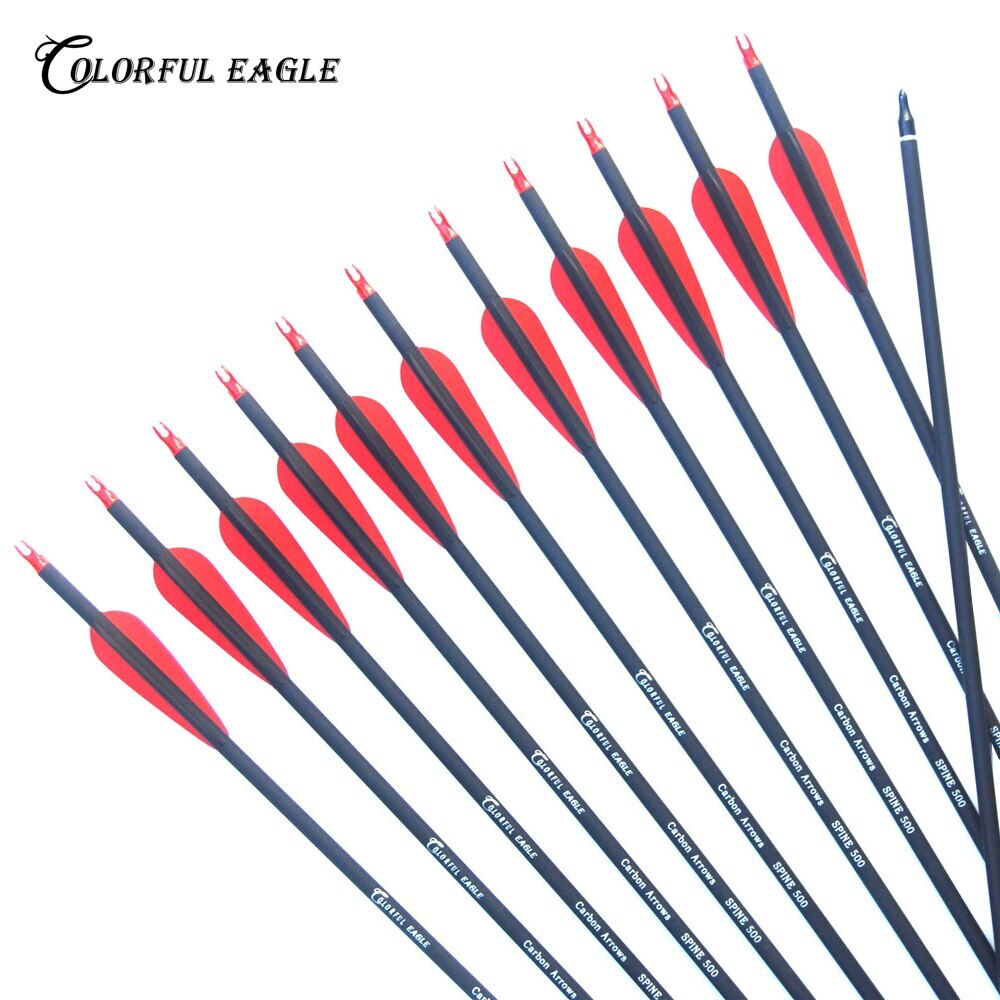 Carbon Arrow 28/30/31 Inches Length Spine 500 with Replaceable Arrowhead