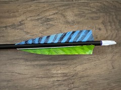 (12) Rose City PO Cedar NIGHTFALL 5S 11/32″ PAINTED & MATCHED 55-60# Arrows [v5]