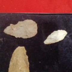Stone Arrowhead Points Lot w/ Display Case, Multicolor – Hunting Archery