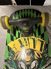 Vintage Satellite Skateboard Cruiser 31 Inches