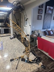 Hoyt VTM 34. Bourbon with Black limbs. RH 70lb.