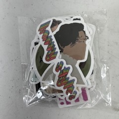 Mystery Sticker Lot Of 550 Bad Bunny Breaking Bad Riverdale Witcher Gothic New