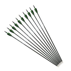 12Pcs 30 Inch Carbon Arrow Practice Hunting Arrow for Compound Bow Recurve Bow