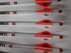 1dz.Carbon Express Destroyer MX 350 Dipped/Crested Arrows DS-troyer