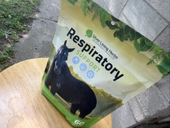 Silver Lining Herbs Respiratory Support Supplement for Horses – Horse Supplem…