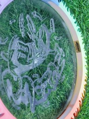 NEW Discraft Limited Edition FuZed Flame Fly Dye Rainbow SCORCH LE Ledgestone