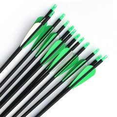 12Pack 30-inch SP500 Archery Carbon Arrows Hunting For Compound & Recurve Bow US