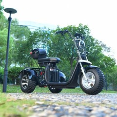 Off-road electric tricycle for adult outdoor use 3000W motor max speed 25-28MI