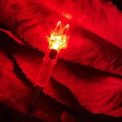 DEEPOWER S Lighted Nocks for Arrows .244/6.2mm 6/12 Pack 6 PCS / Red