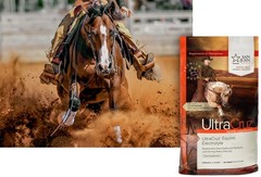 UltraCruz Equine Electrolyte Supplement for Horses, 25 lb Powder(200 Day Supply)