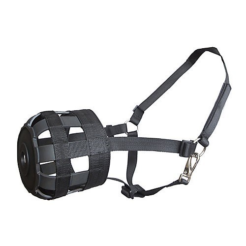 Formay Horse Grazing Muzzle w/Halter, Black, Size miniature – NWT
