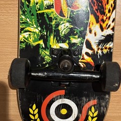 ORGANIKA Adelmo Jr skateboard deck Trucks Wheels Amazon Jungle 31” Nice!