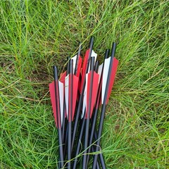 20 Inch Crossbow Bolts Carbon Crossbow Arrows OD 8.8 mm Hunting Practice 12PCS