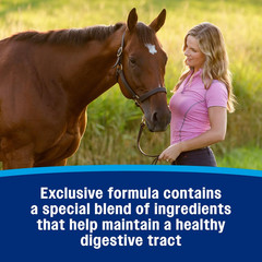 Hindgut Stabilizer Pellets, Daily Digestive & Immune Supplement for Horses Helps