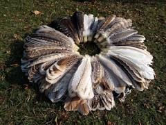 10 Pcs Turkey Feathers, Turkey BIOTS, Wing Feathers, Fly Tying Materials