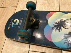 KRYPTONICS SKATEBOARD 31 INCHES COMPLETE PALM TREE