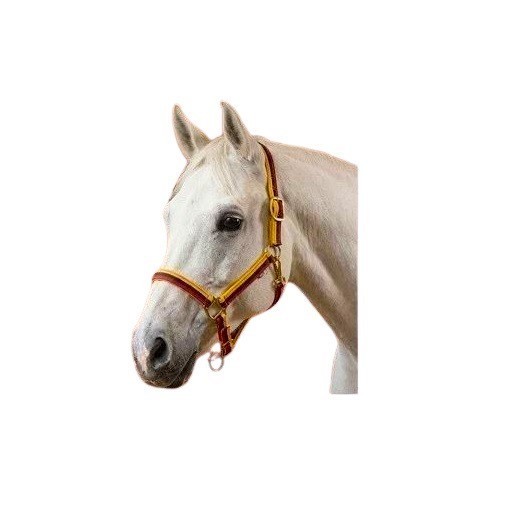 Horse Halter Multi Color Nylon Adjustable Durable Comfortable Equestrian Tack