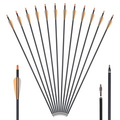 Archery 15-50lb Traditional Recurve Bow Mongolian Horse Bow Carbon Arrows Target