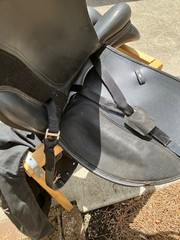 Dressage Saddle 17