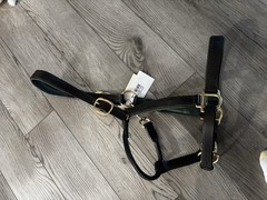 Dover Saddlery Suffolk Padded Leather Halter – Full Horse Size Green Brown