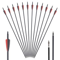 30-70lbs Archery Compound Bow Arrows 310FPS Adjustable Target Shooting RH Hunt