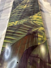 Element Skateboard Deck Gabriel Fortunato Jungle Rare Made In Spain 8” x 31.75”