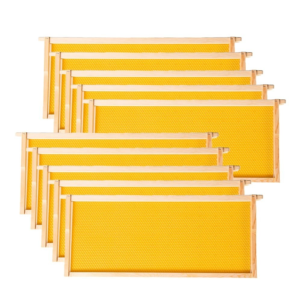 10 Pack Deep Brood Frames with Natural Beeswax – Fits 8 or 10 Frames
