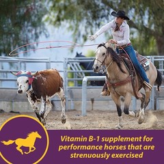 Farnam Horse Health Vita B-1 Crumbles Supplement for Horses, 3 pounds