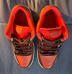 Nike SB Dunk Low Pro Red/Brown Skateboarding Shoes US 11 Medium (D/M)