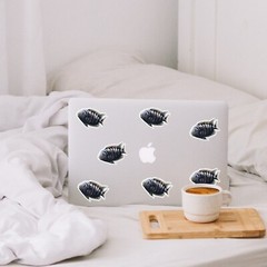 Black Convict Cichlid Sticker | Fish Sticker | Laptop Sticker