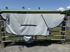 81” Bucas Buzz Off Full Neck Horse Fly Sheet – Used