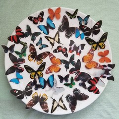 40pcs Clear Transparent Butterfly Sticker Pack For Scrapbooking , Glass Bottle