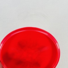 Discraft Comet Red Disc Golf Disc 175-176 Holographic Foil Stamp Driver Frisbee