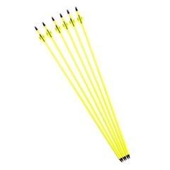 12Pcs Archery Carbon Hunting Target Arrows 30″ SP500 For Compound/Recurve Bow US