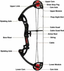 15-29 Lbs Compound Bow Archery for Youth Beginner Right Handed 260 fps 19”-28”