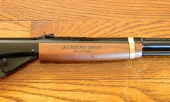 Christmas Dream BB Gun 30th Anniversary