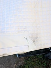 LeMieux Prosport Suede Dressage Pad White
