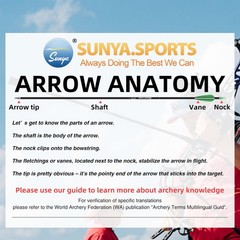 12-Pack 30 Inch Carbon Arrows Spine 500 or 400 for 40-60 LBS Bows｜Switch to R…