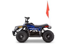 Kids Blue Electric ATV 4-Wheeler Quad 36V 500W Off-Road Mini Ride-On Vehicle
