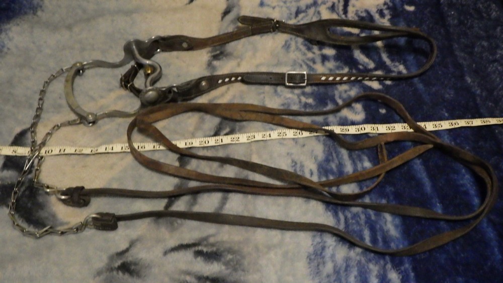 Vintage Leather One Ear Headstall Engraved Cricket Curb Bit Crockett Renalde