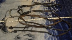 Vintage Leather One Ear Headstall Engraved Cricket Curb Bit Crockett Renalde
