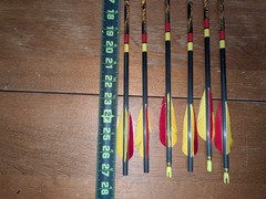Gold Tip Ultralight / Entrada 500 Arrows Hunting Target Archery